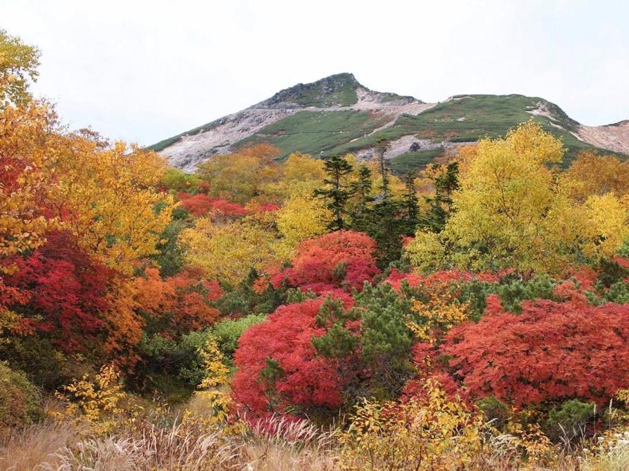 Alpine Inn Mizushiro 마츠모토 외부 사진