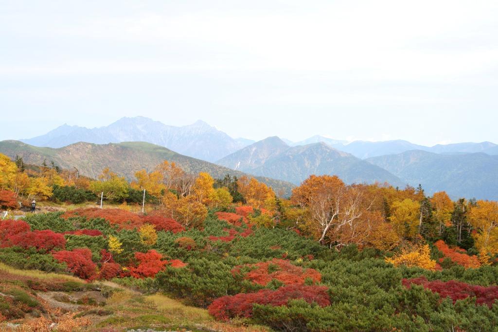 Alpine Inn Mizushiro 마츠모토 외부 사진