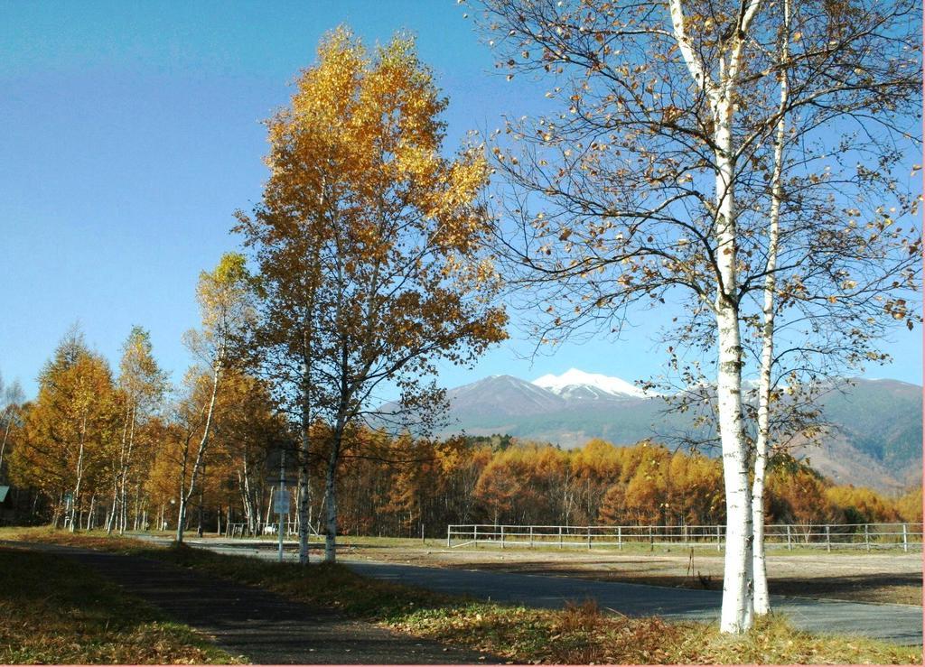 Alpine Inn Mizushiro 마츠모토 외부 사진